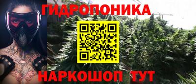 твердый Новозыбков