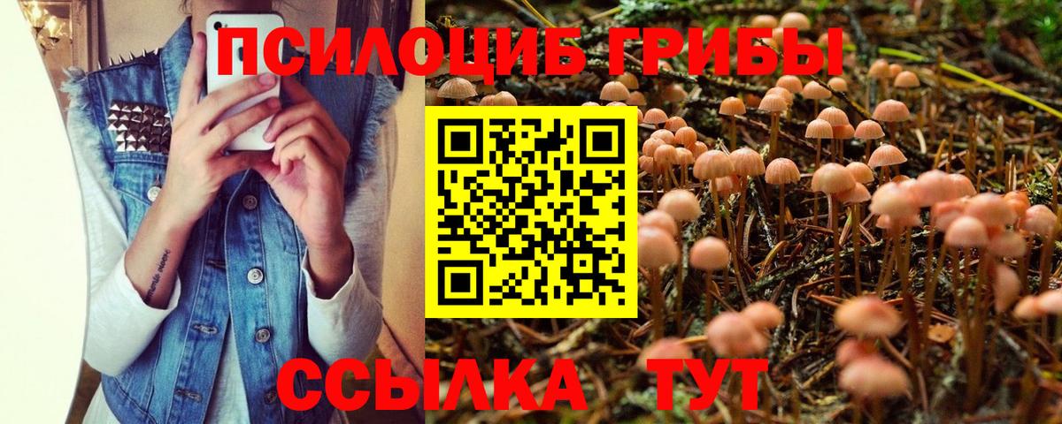 Сорочинск  Псилоцибиновые грибы Magic Shrooms  Вход с VPN  Галлюциногенные грибы ЛСД 